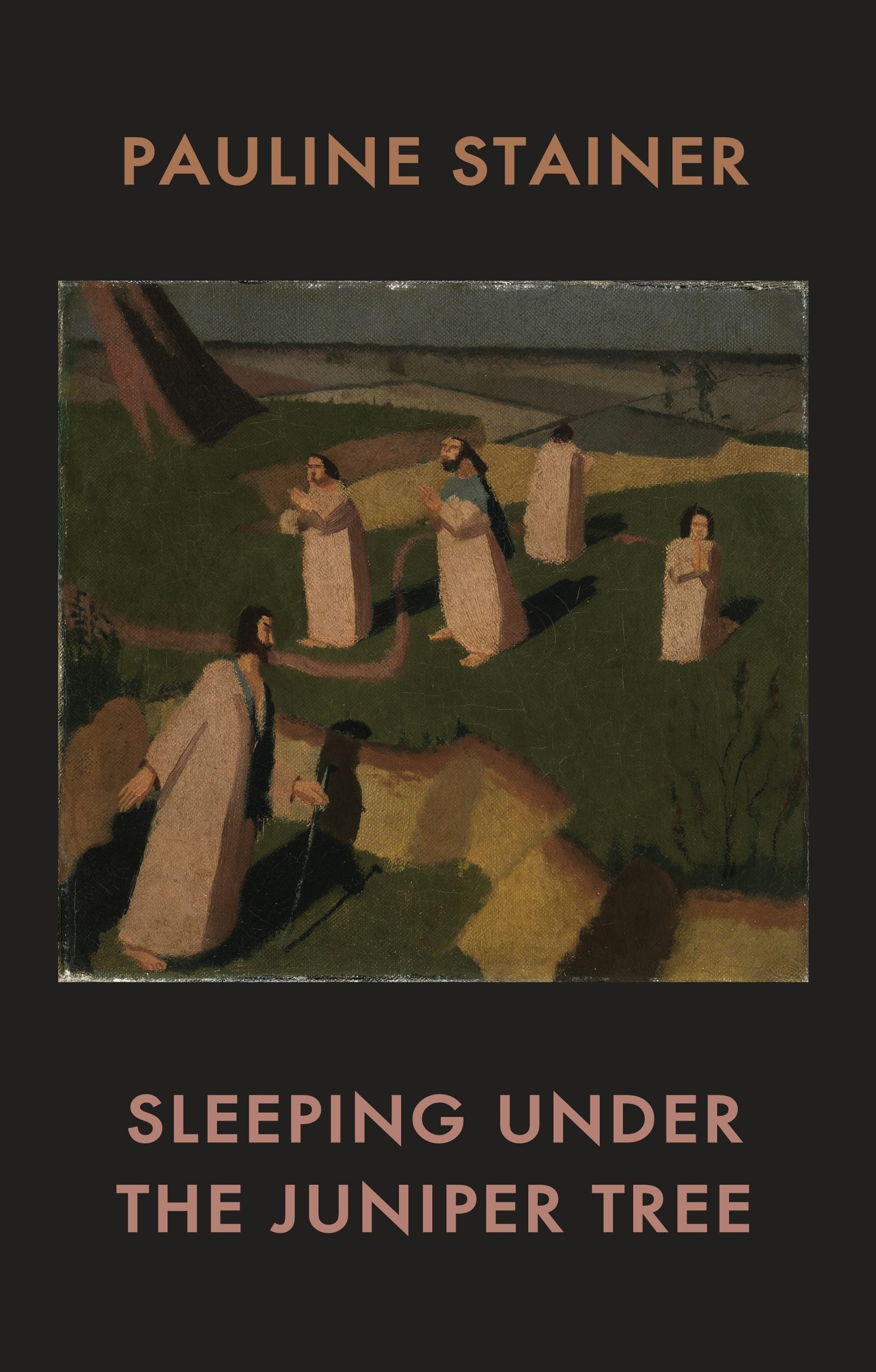 Book cover image for Sleeping under the Juniper Tree ISBN: 9781780373416